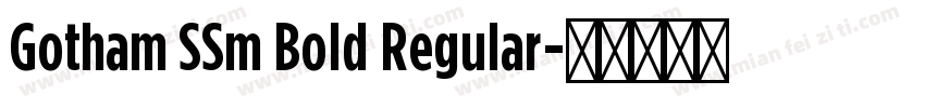 Gotham SSm Bold Regular字体转换